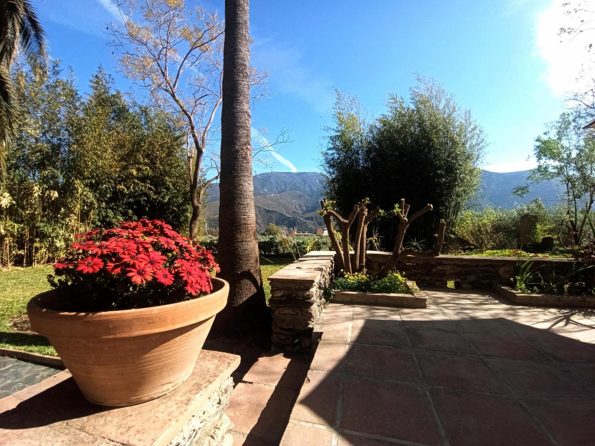 Oasis De Frescura En Verano Villa
