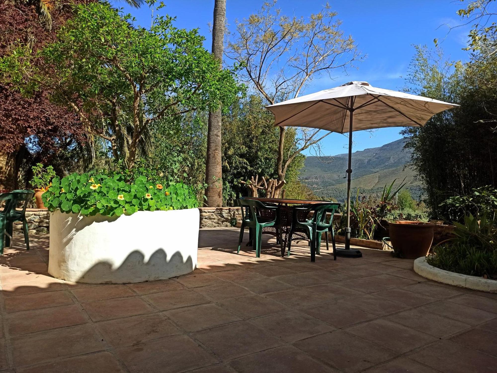 Oasis De Frescura En Verano