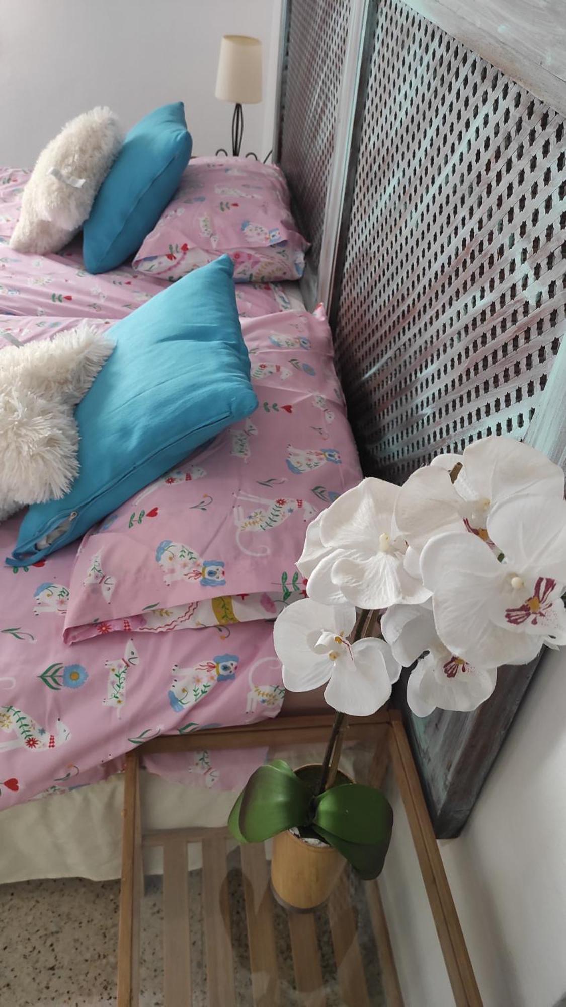 Apartamento Centrico Piso Con Aparcamiento Gratuito