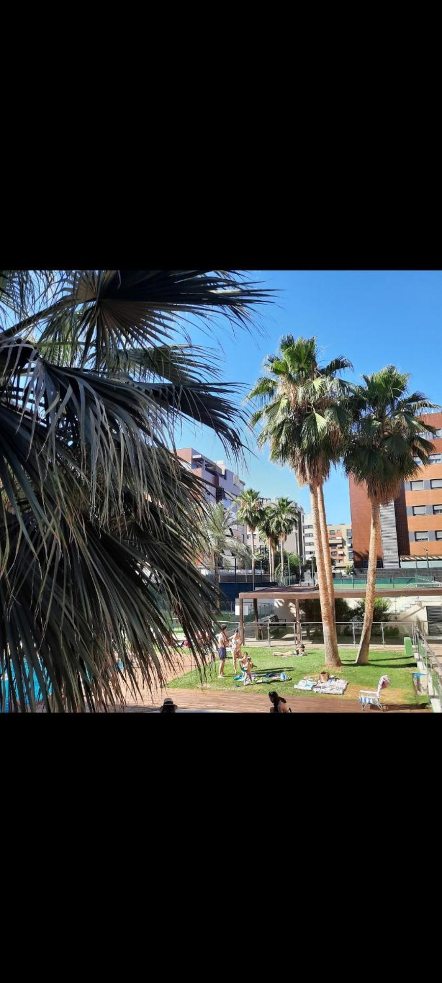 Parque Lagos Granada