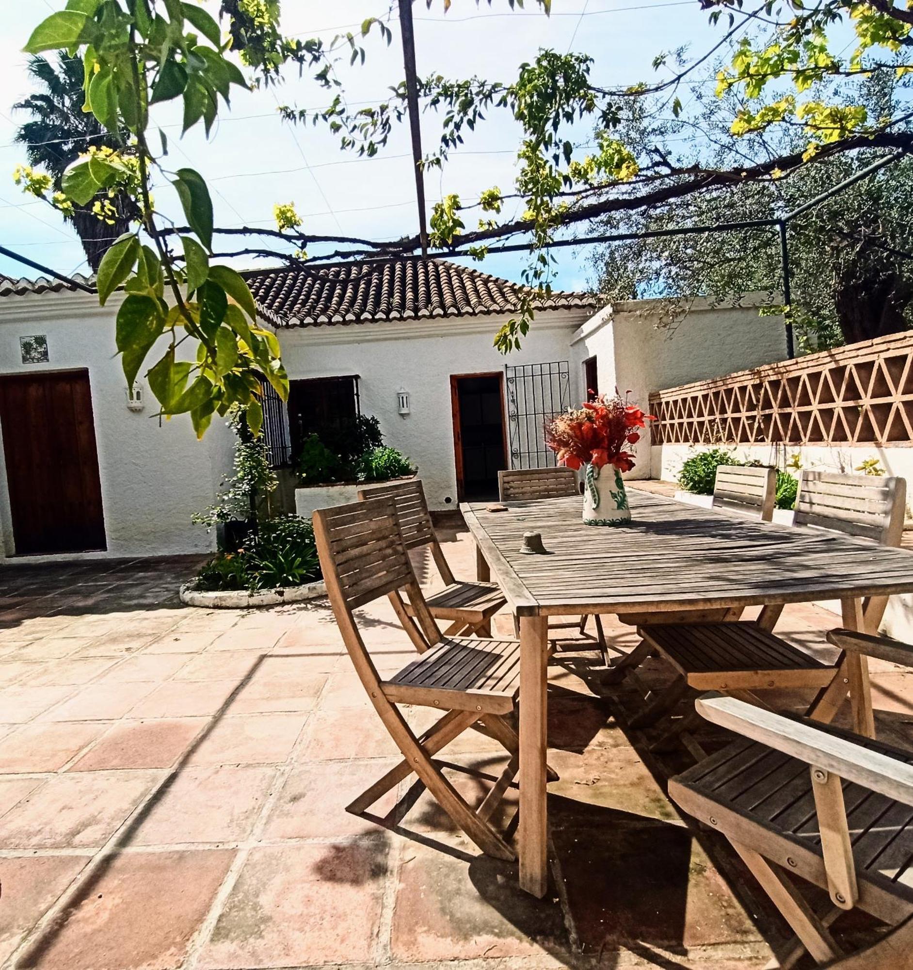 Oasis De Frescura En Verano *