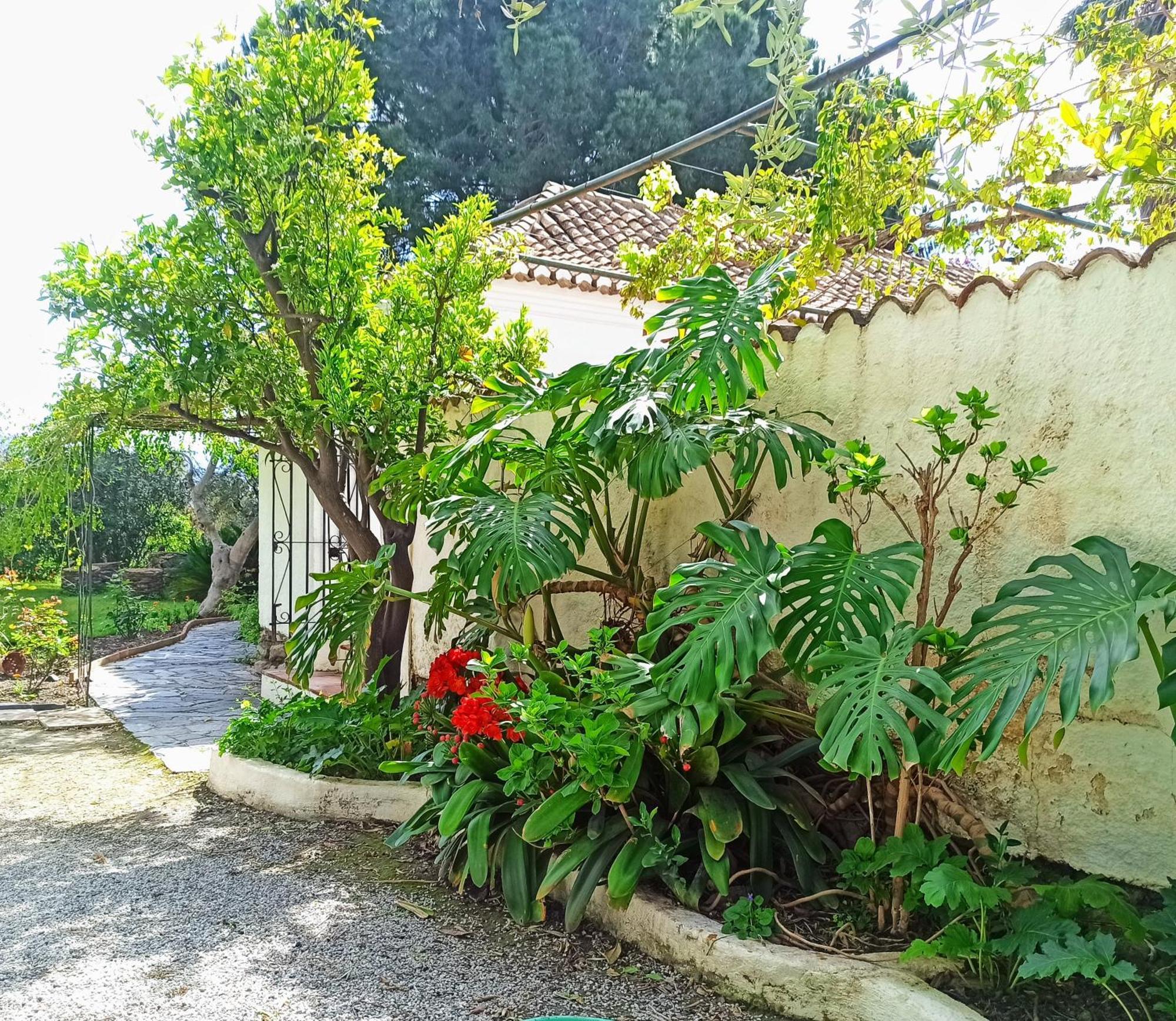 Villa Oasis De Frescura En Verano Granada