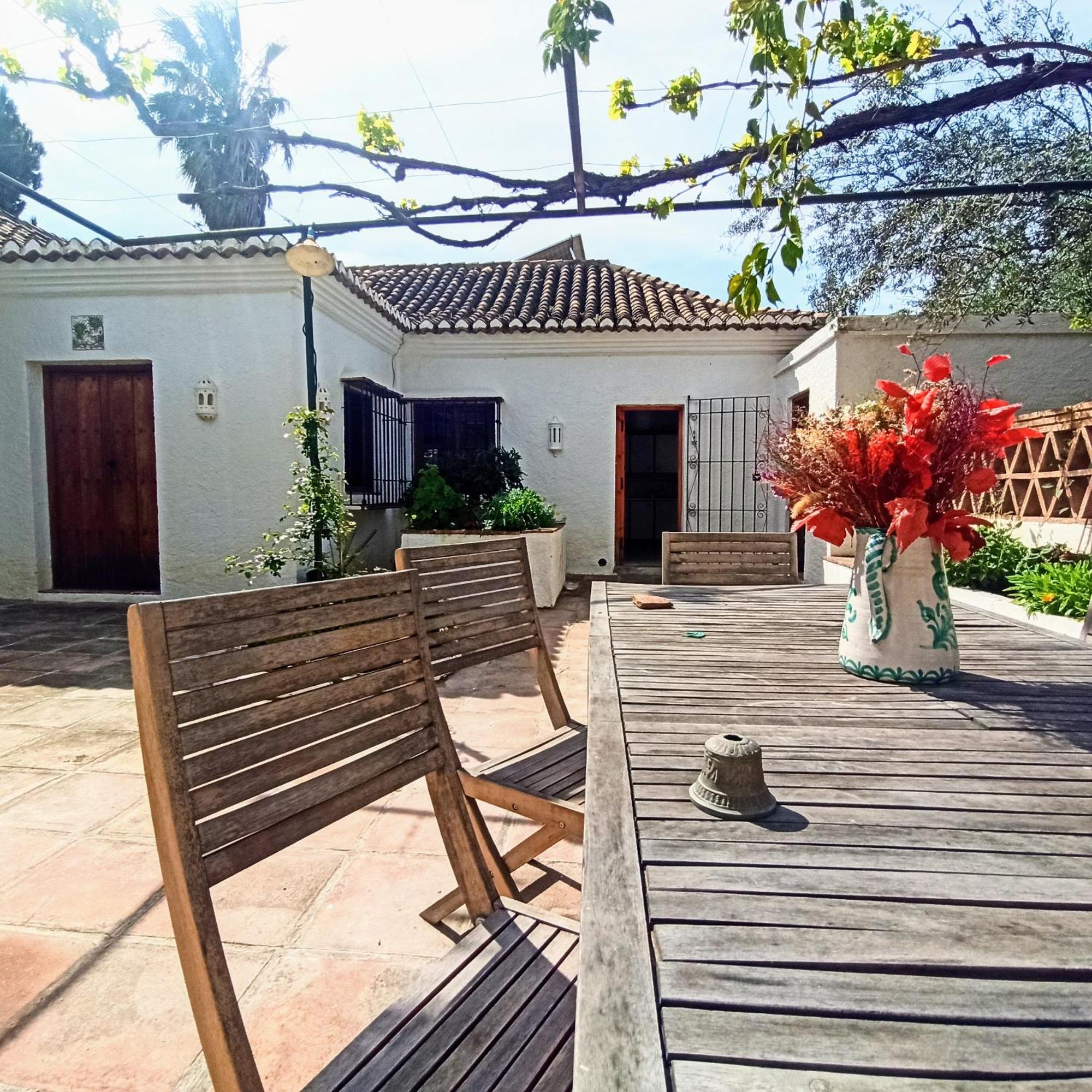 Oasis De Frescura En Verano *