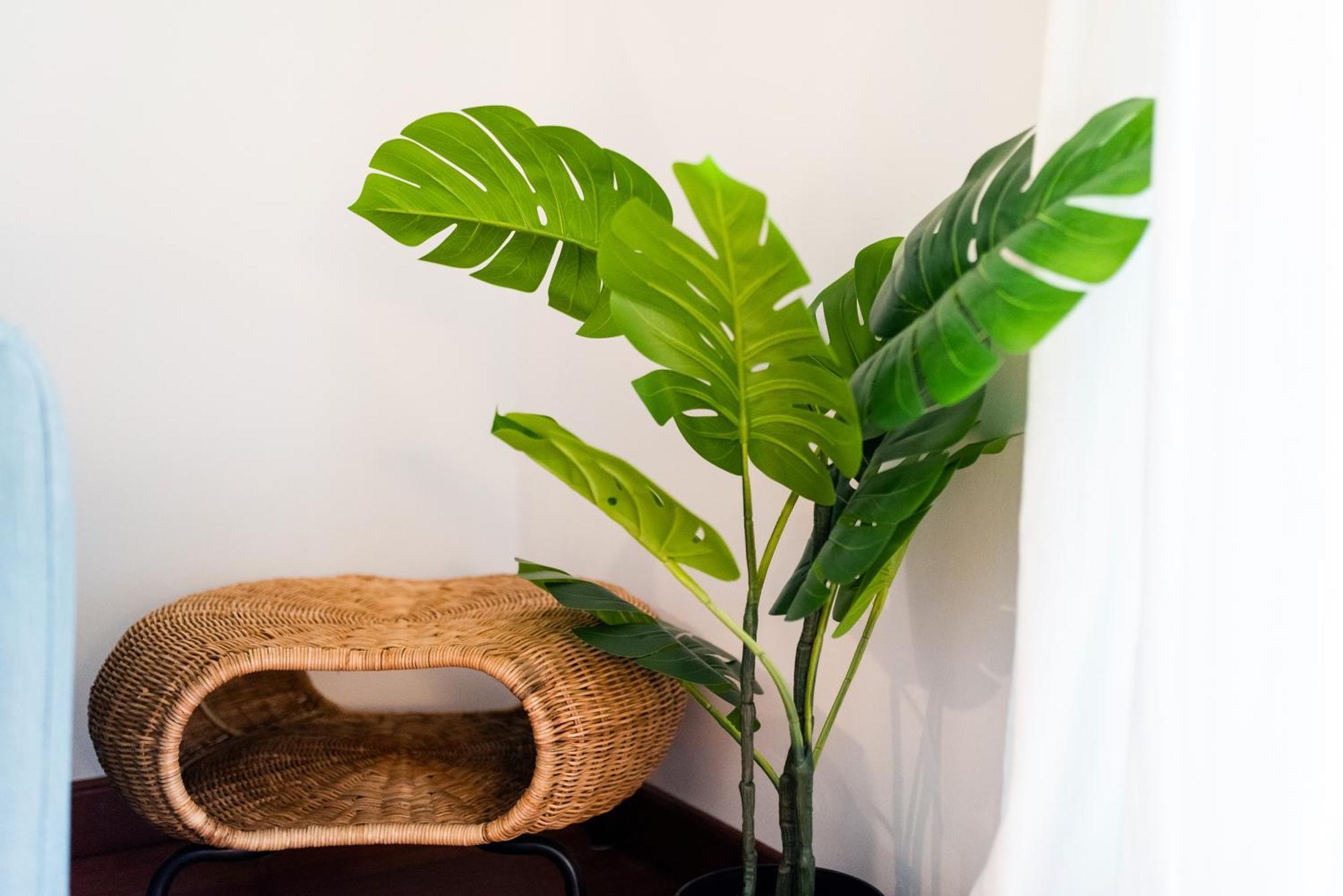 Con Encanto, Centro Appartement *