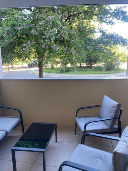 Căn hộ The Park House Nuevo Apartamento De Lujo En