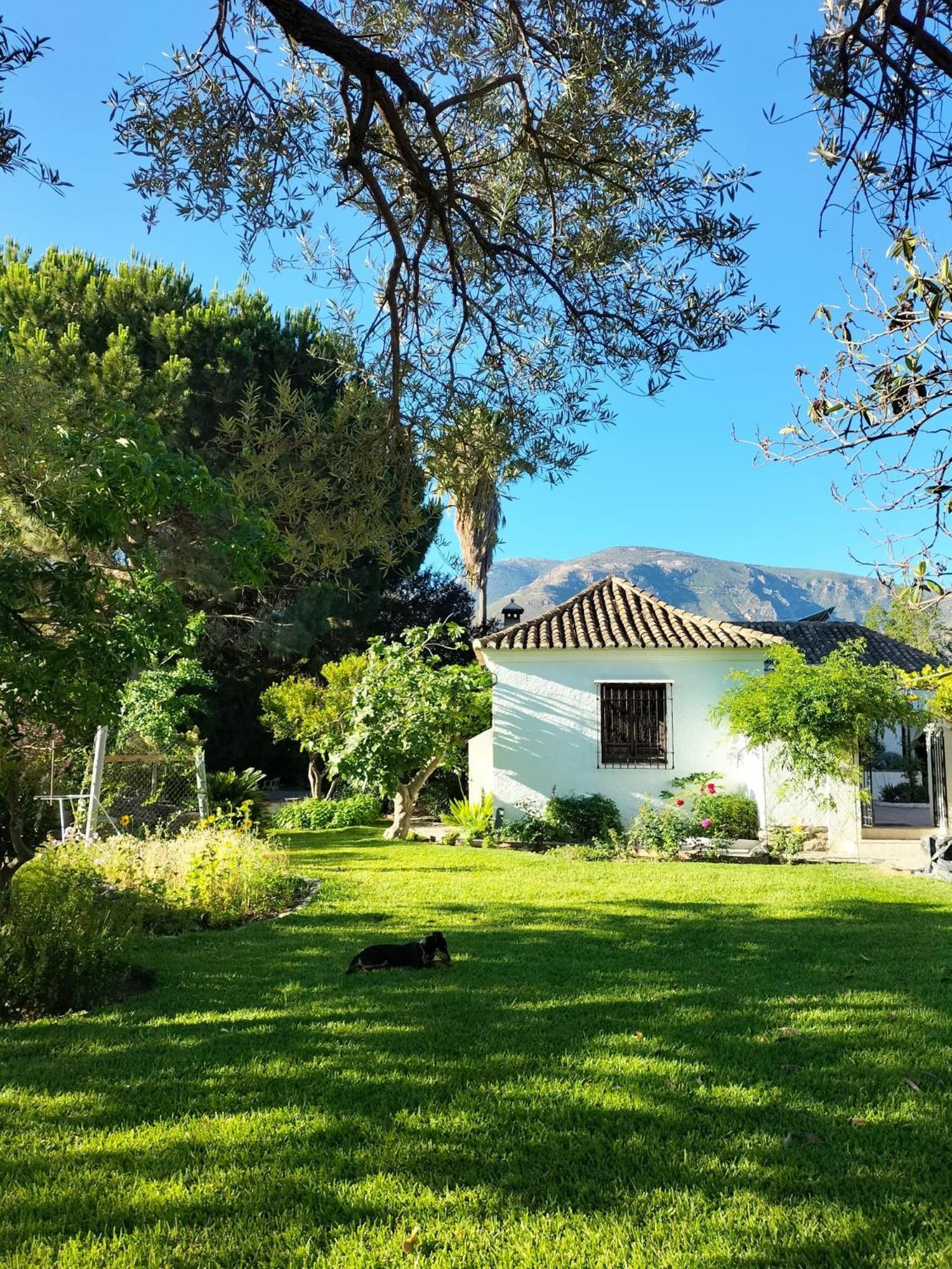Villa Oasis De Frescura En Verano Granada