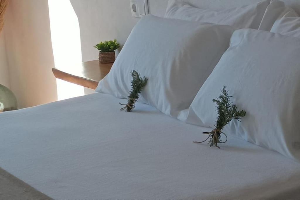 Nhà nghỉ Casa El Almendro Piscina Privada *