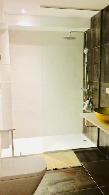 Appartement Center Wifi Parking Free *