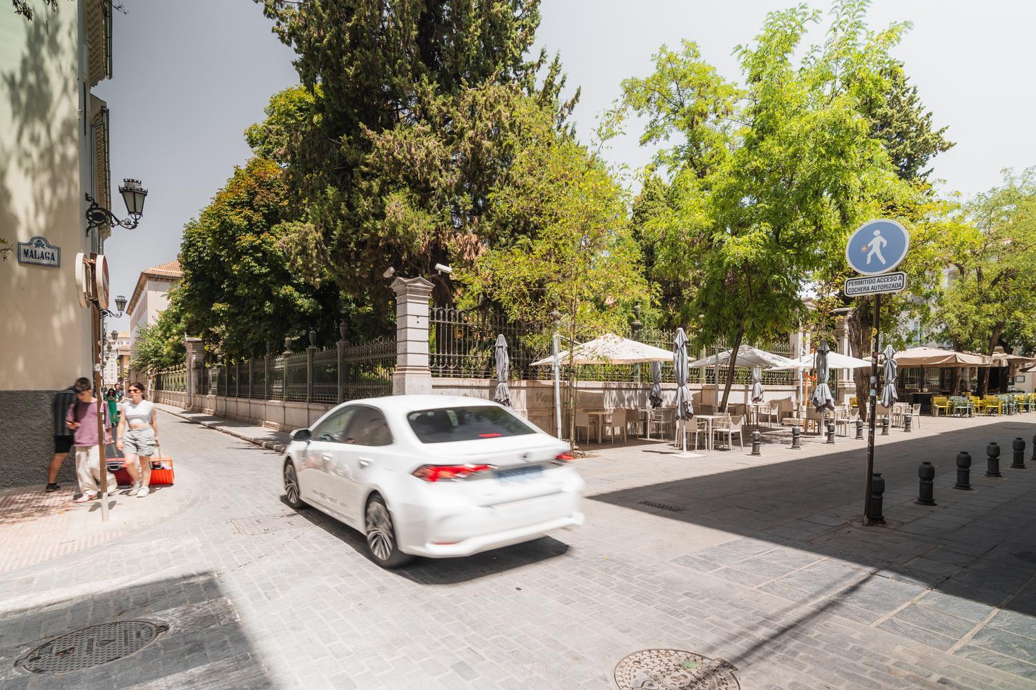 Apartment Tuguest Jardin Botanico Con Parking