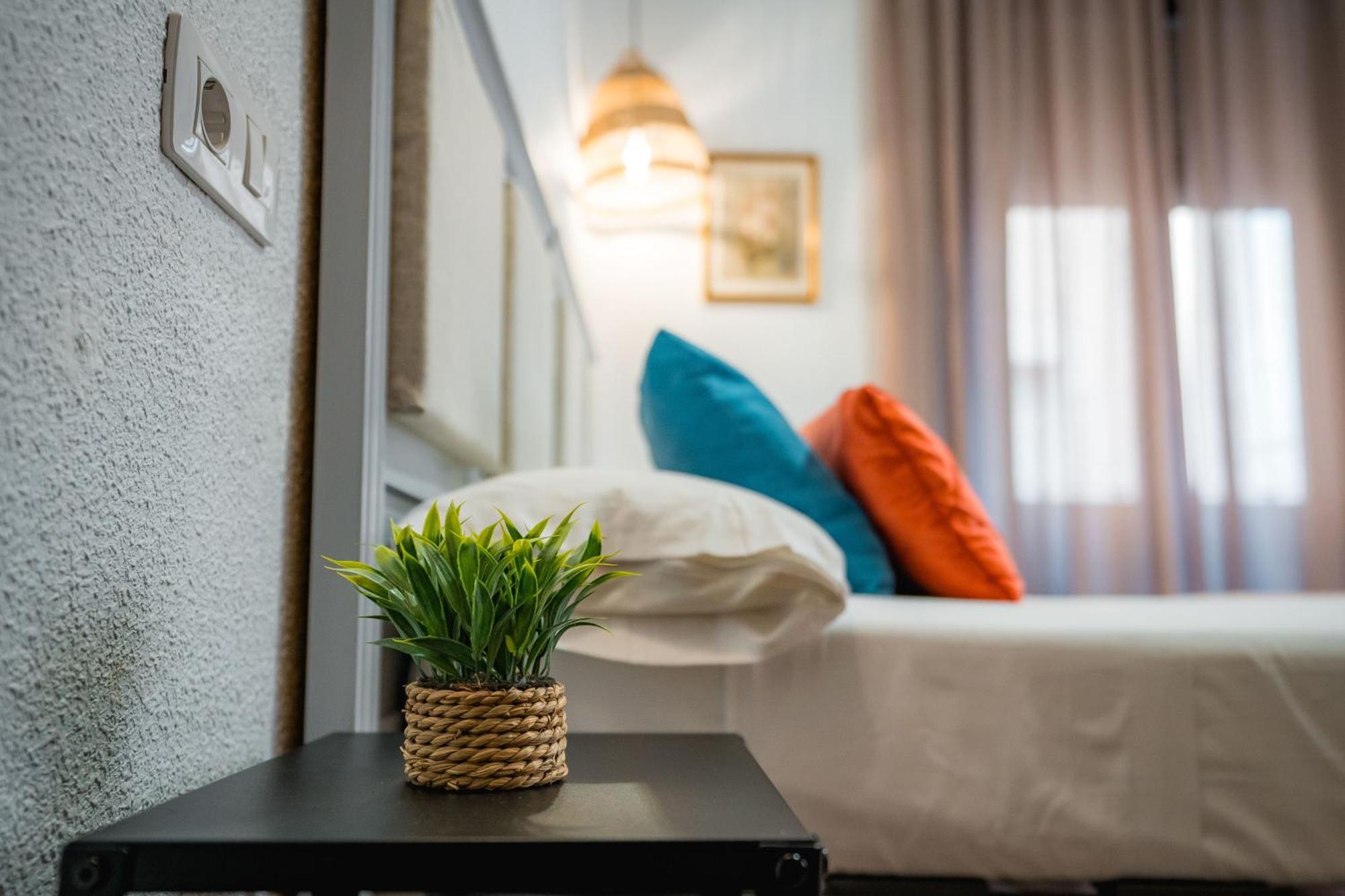 Veronica Centro Guest house Granada