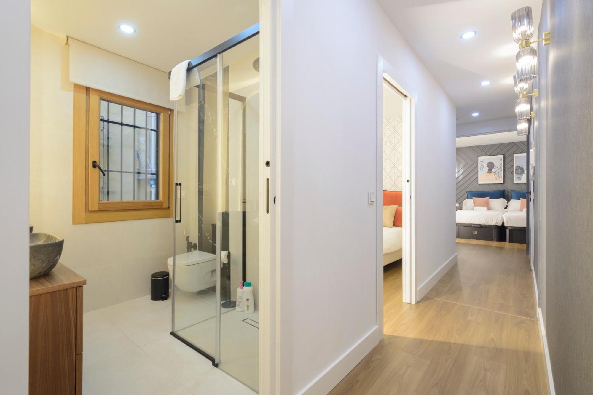 Eco Center Granatensis Pasiegas-catedral Apartment Granada