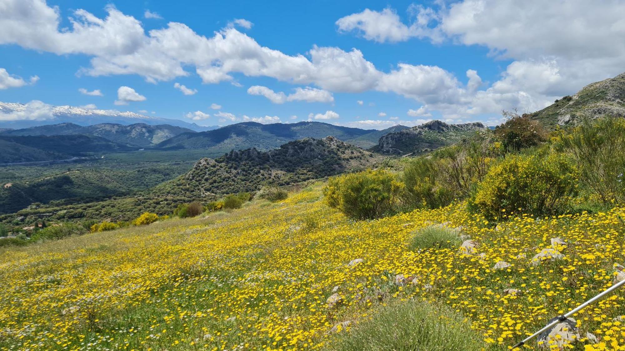 El Centenal Сasa de vacaciones Granada