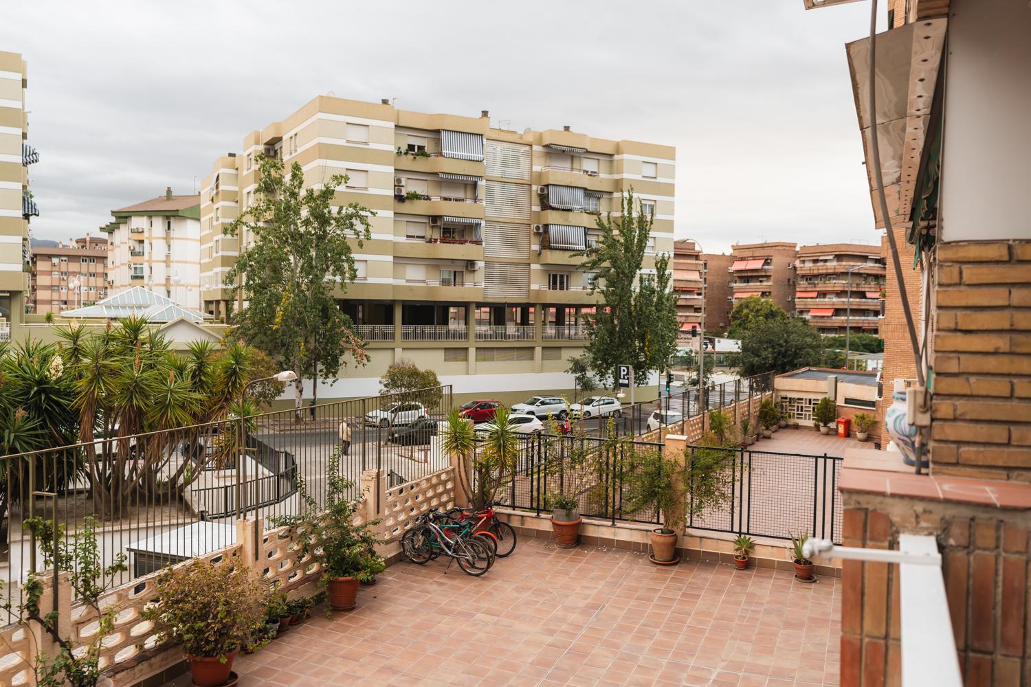 Flores Granada