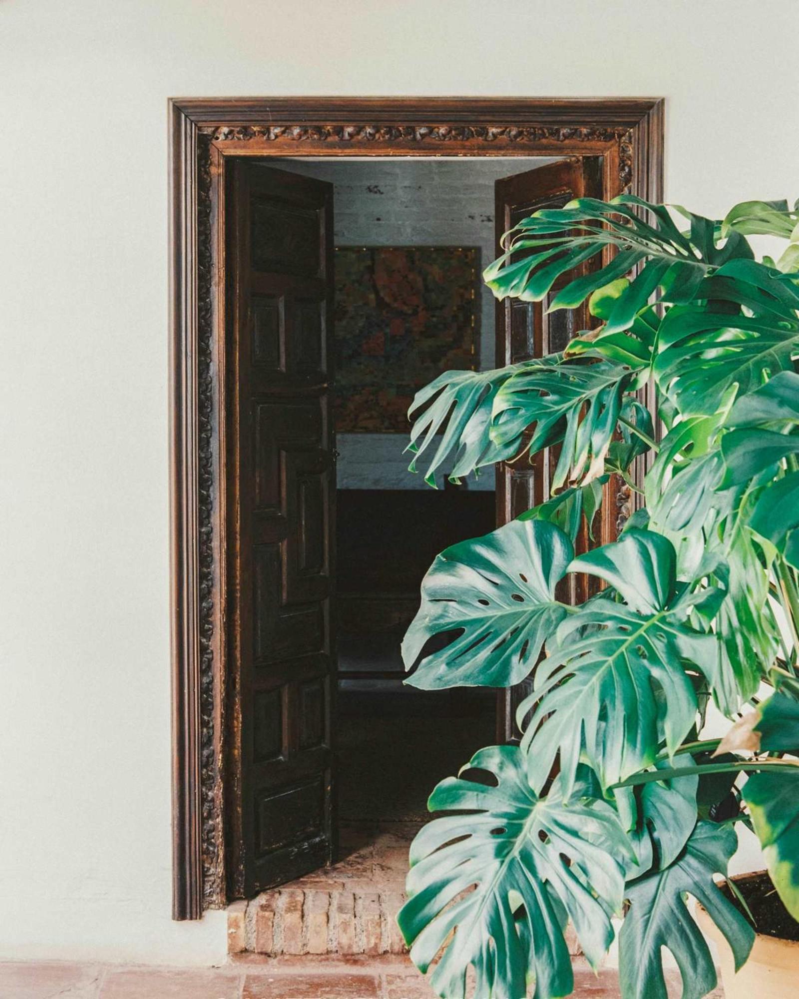 Historic Riad Alhambra Townhouse Holiday home Granada