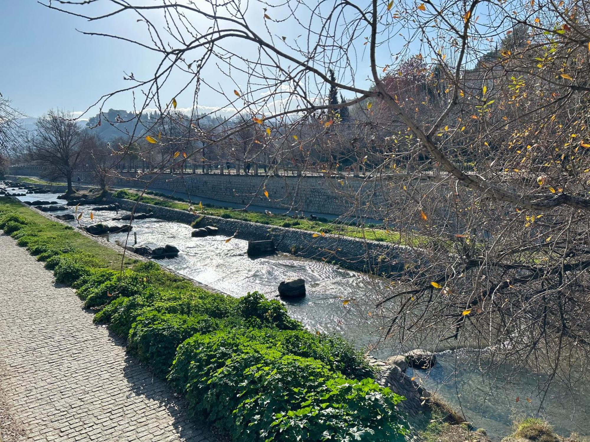 Centrico Junto Al Rio Genil * Granada