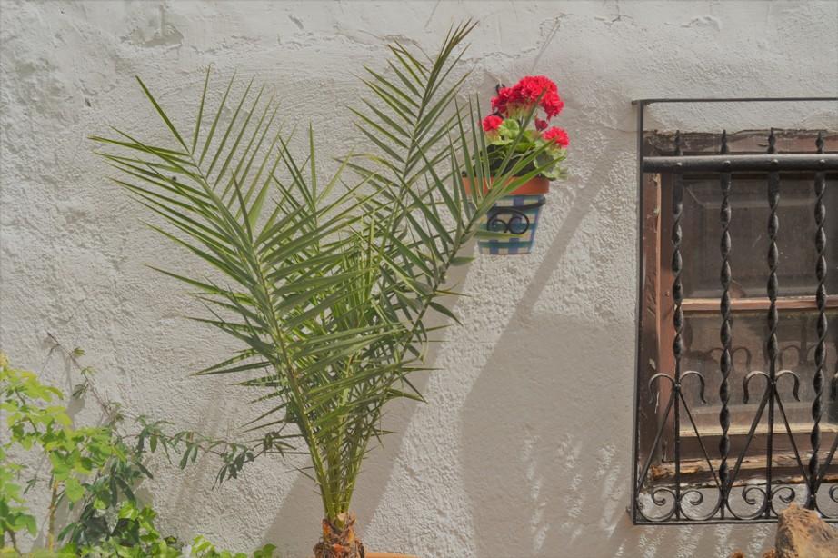 Country house El Soto De Roma