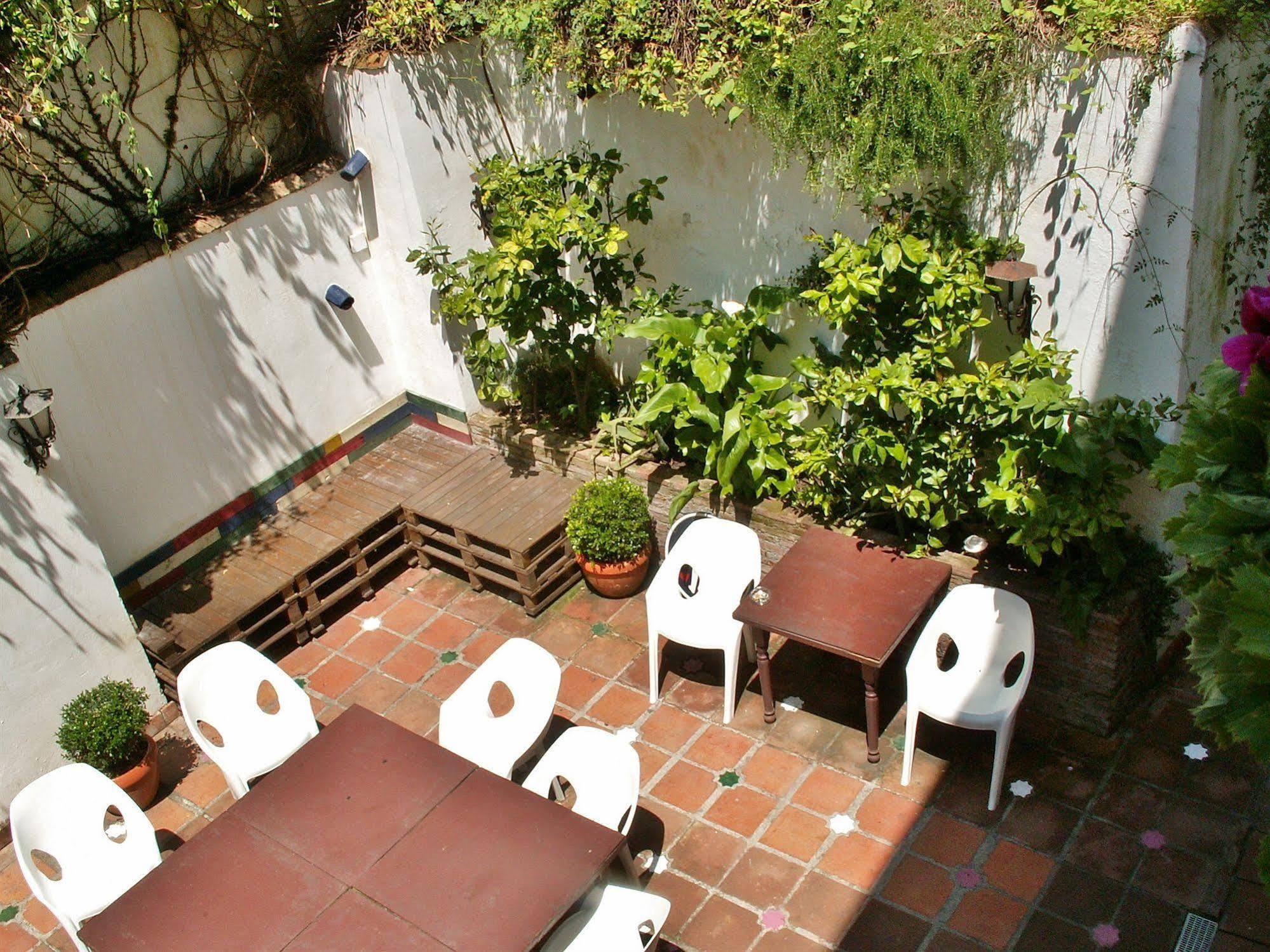 Hostel Oasis Backpackers'