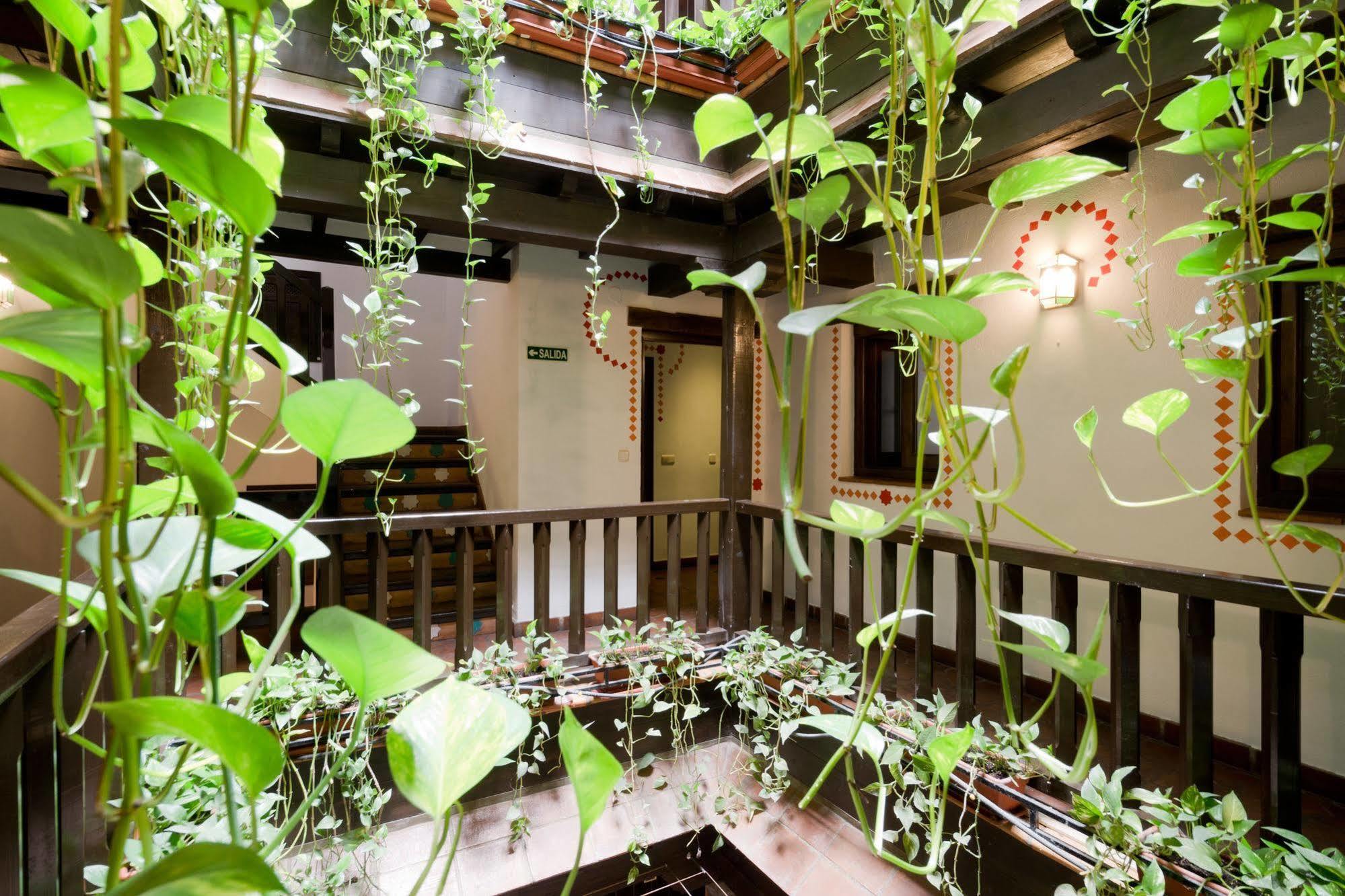 Oasis Backpackers' Hostel