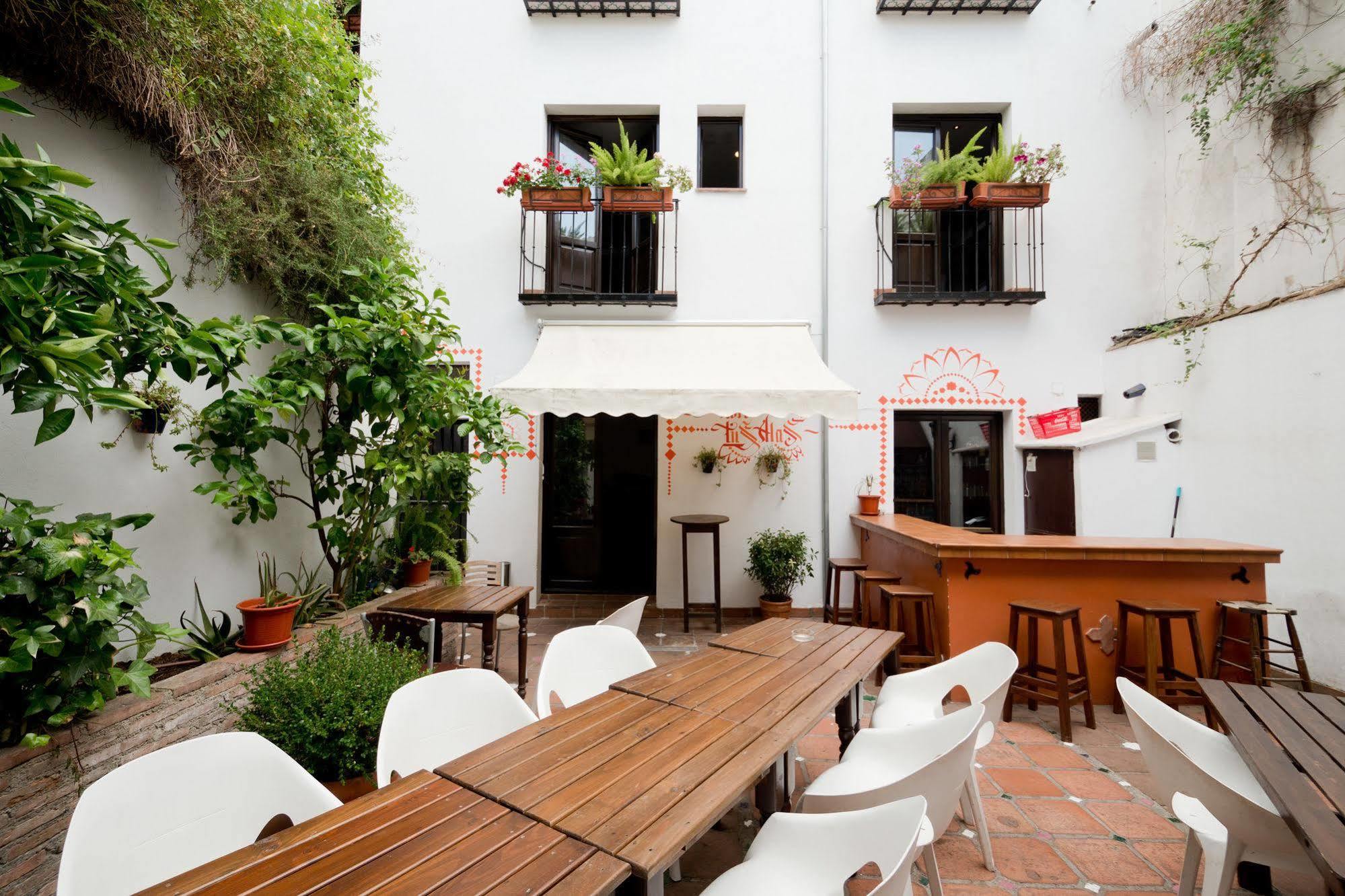 Oasis Backpackers' Hostel