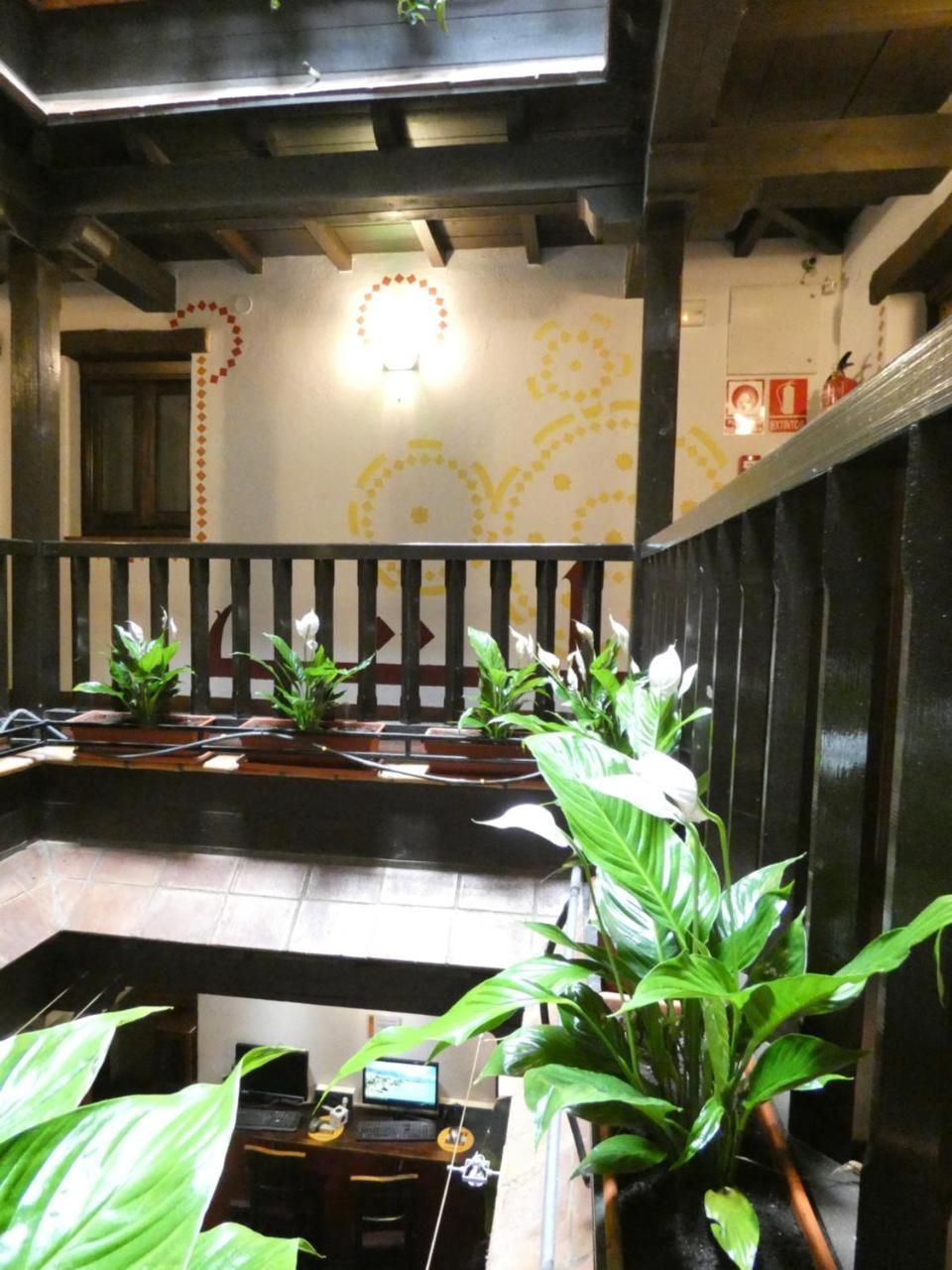 Oasis Backpackers' Hostel *