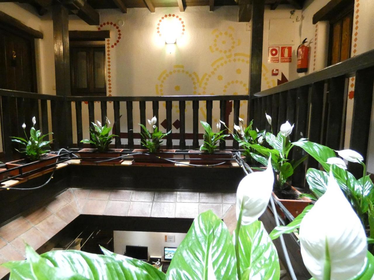 Hostel Oasis Backpackers'