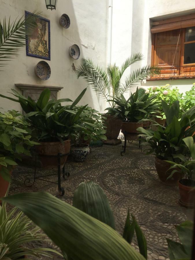 Residencia Jardines Apartment *