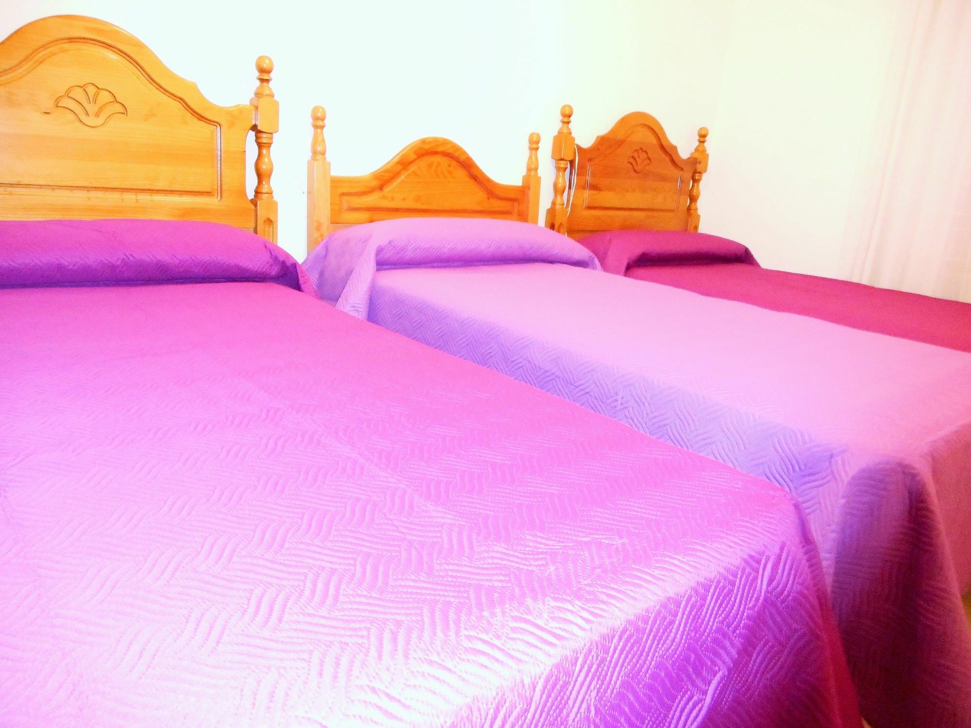 Martin House & Bed & Breakfast
