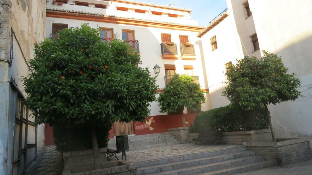 Apartamento Elvira Căn hộ Granada