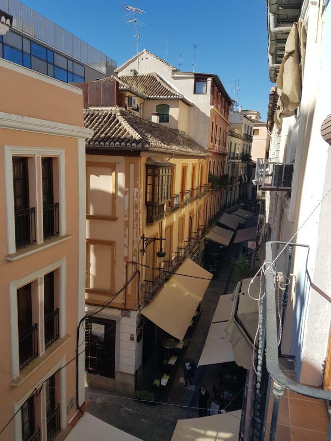 Roseia Granada