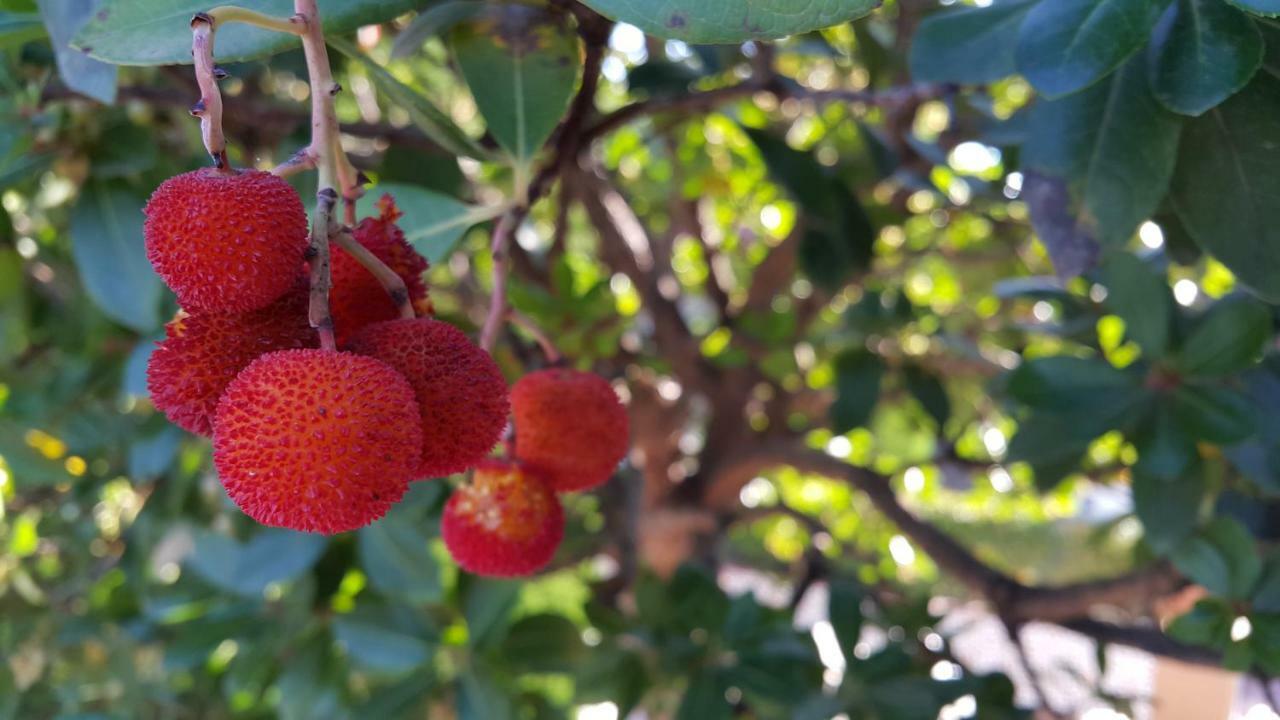 El Jardin De La Abuela Ferienhaus *