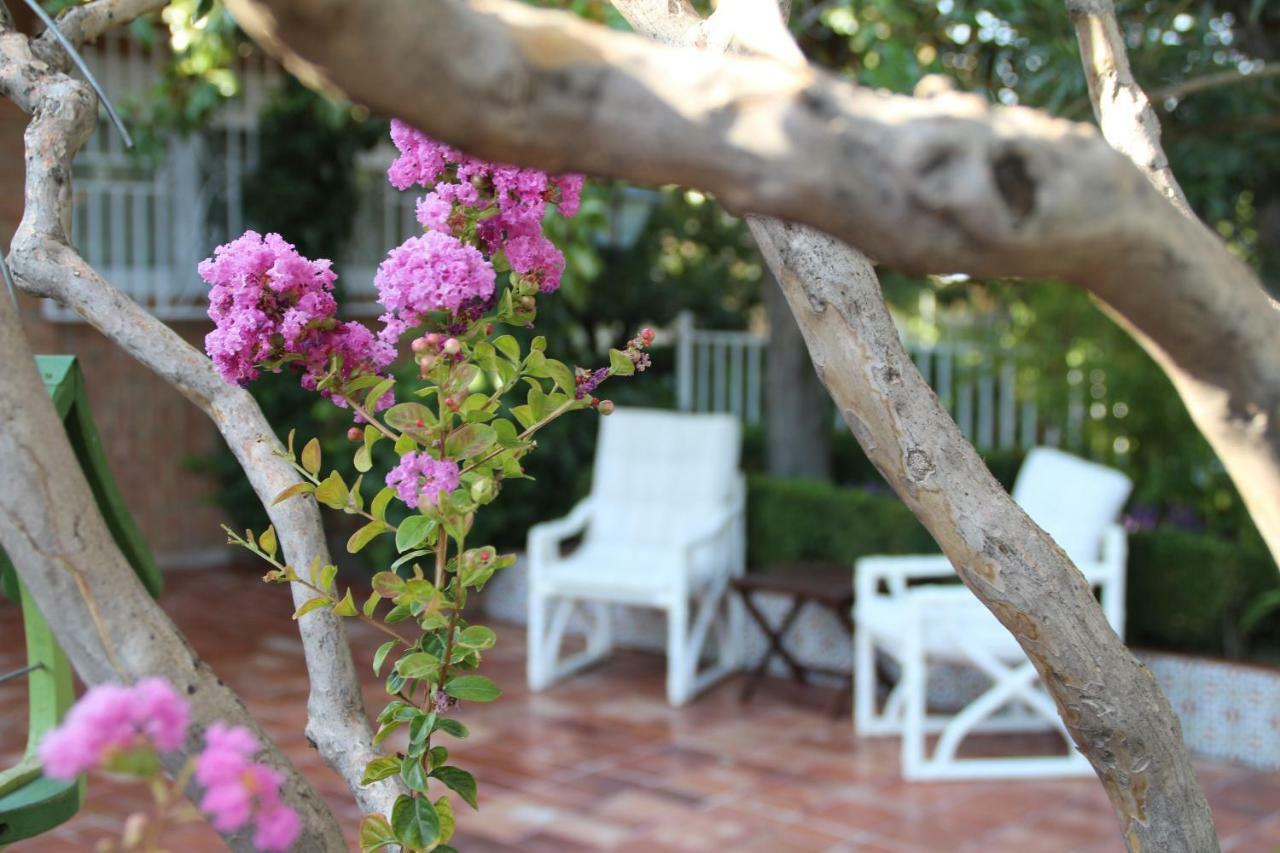 Ferienhaus El Jardin De La Abuela