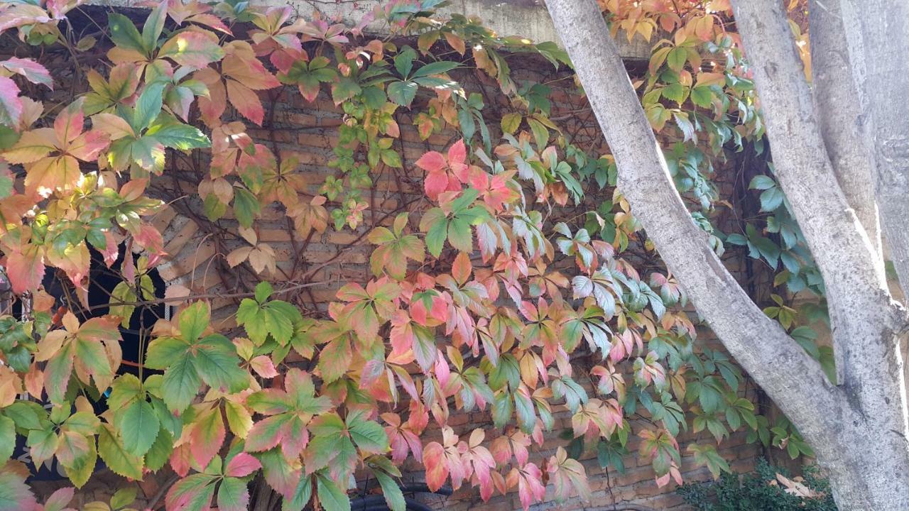 El Jardin De La Abuela Ferienhaus *