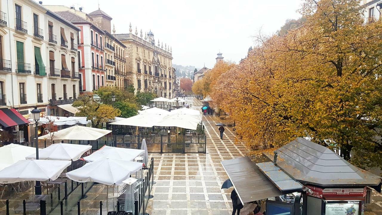 Luxury Plaza Nueva *