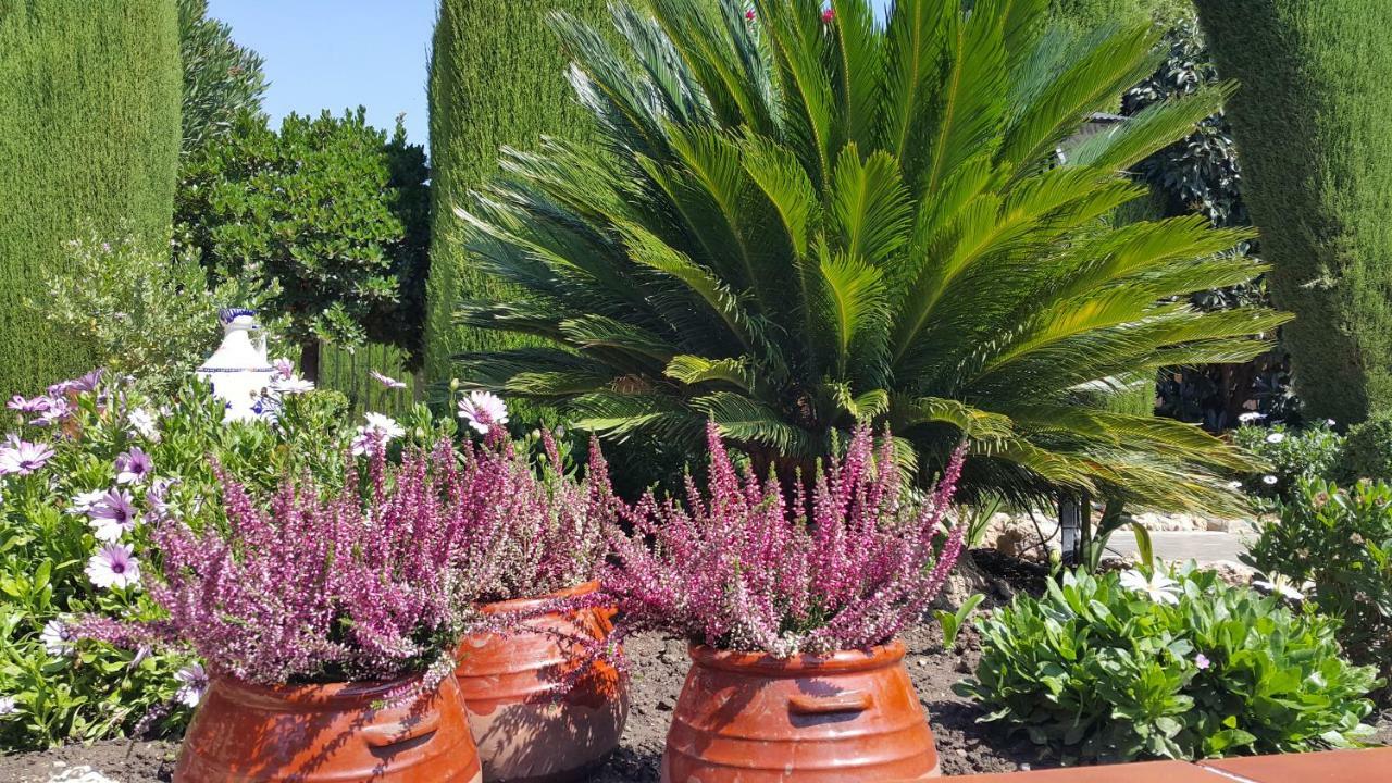 El Jardin De La Abuela * Granada