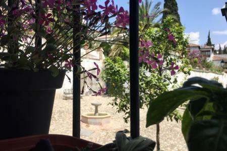 Bonito En Albaicin
