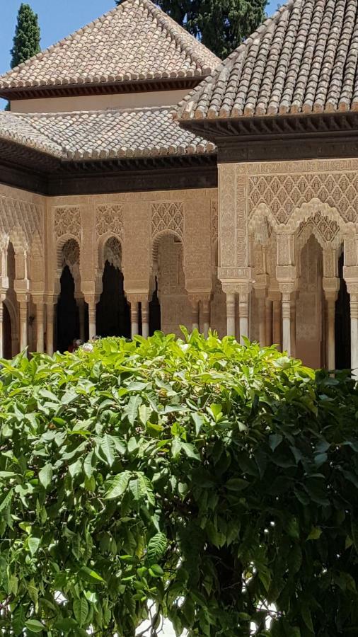 Apartamento Mirador Alhambra *