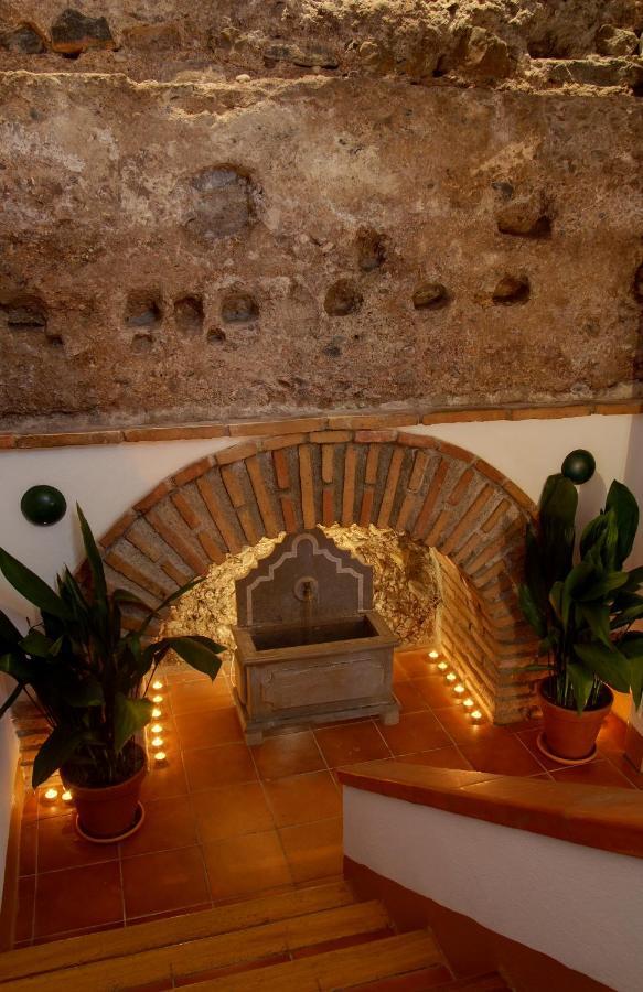 Muralla Zirí Apartamento Granada