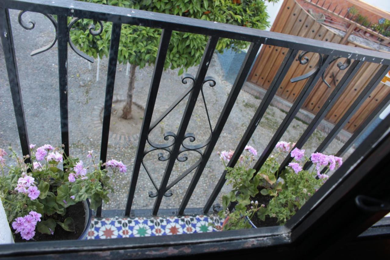 Casa Morena Mia Homestay