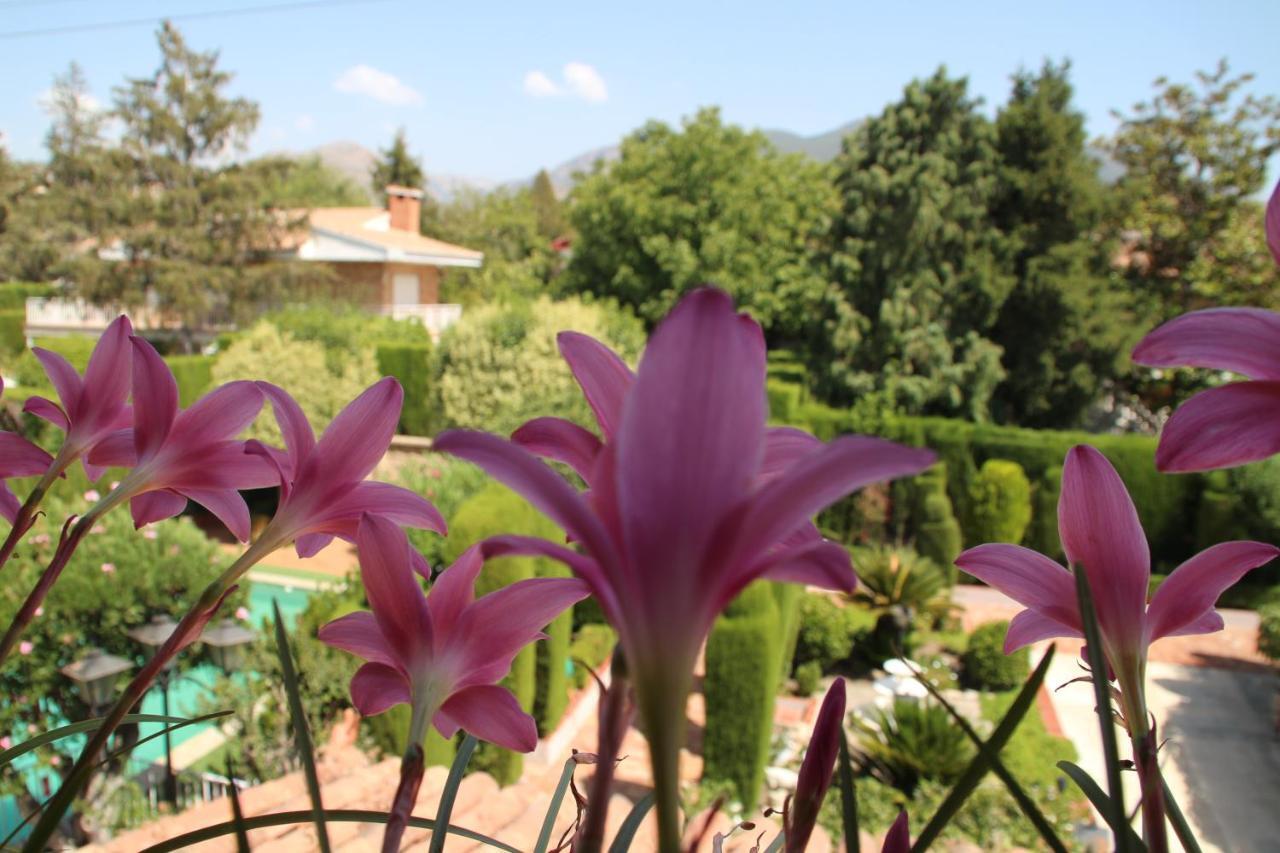 El Jardin De La Abuela Ferienhaus