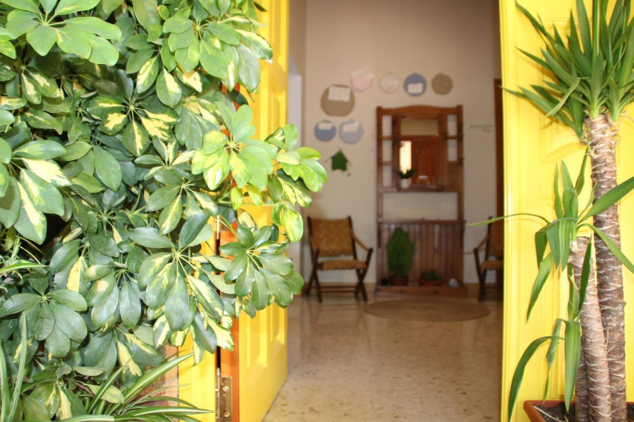 El Jardin De La Abuela * Granada