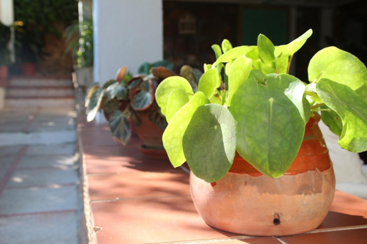 Ferienhaus El Jardin De La Abuela Granada