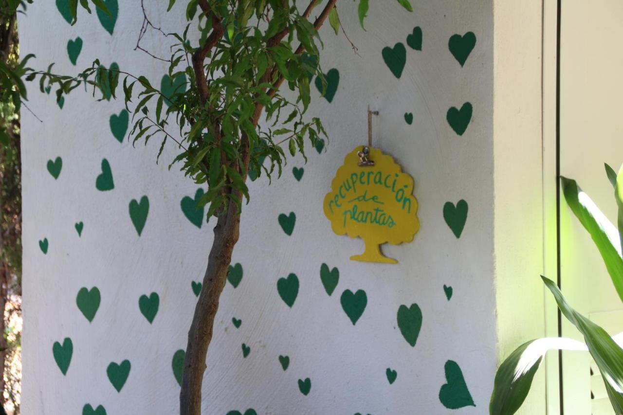 Ferienhaus El Jardin De La Abuela Granada