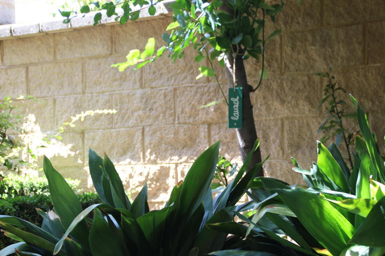 El Jardin De La Abuela *