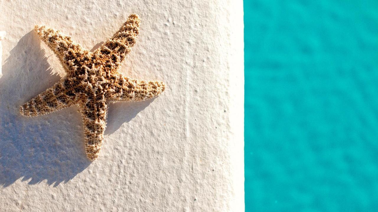 Villa La Almendra Blanca - A Hidden Gem On The Mediterranean *