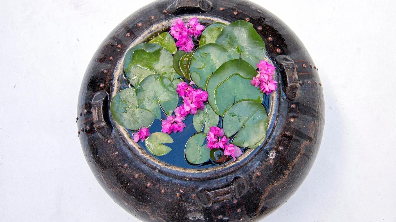 La Almendra Blanca - A Hidden Gem On The Mediterranean Villa