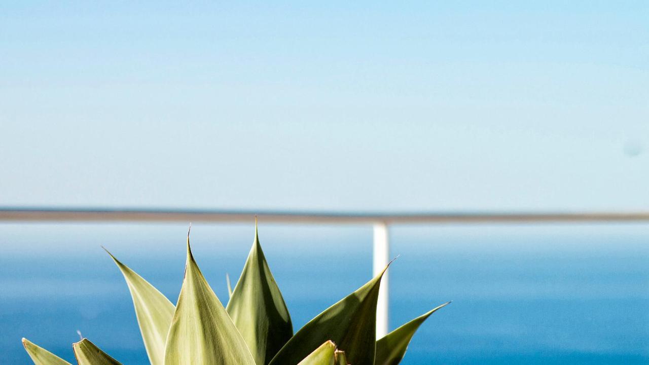 La Almendra Blanca - A Hidden Gem On The Mediterranean Villa *
