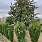 Huerto Del Medio