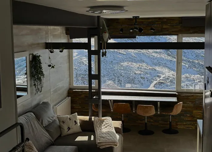 Biznaga Nevada