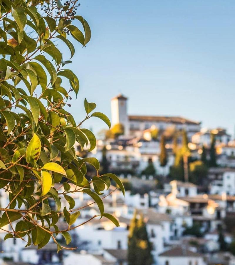 Reina Cristina Granada
