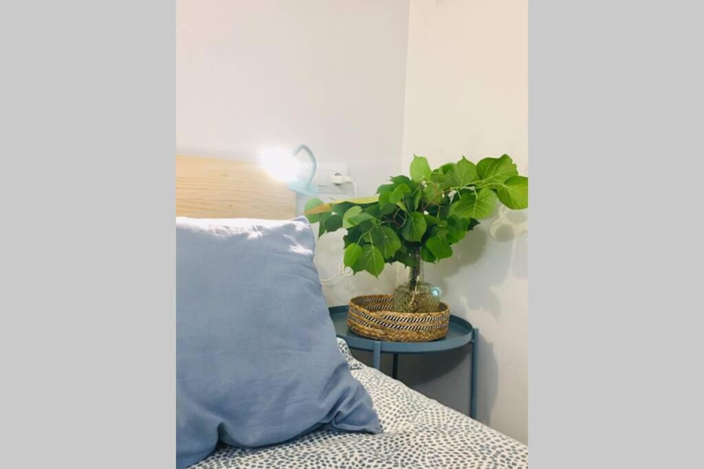 Apartamento Centro Catedral Botanico Apartment
